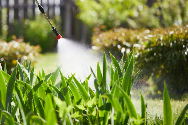 24/7 Emergency Mosquito Control experts in West Freehold, NJ
